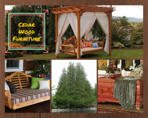 Cedar Wood Furniture