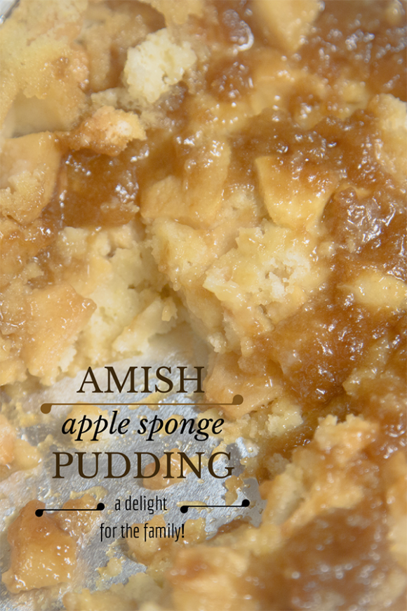 Amish Recipe Apple Sponge Pudding TIMBER TO TABLE