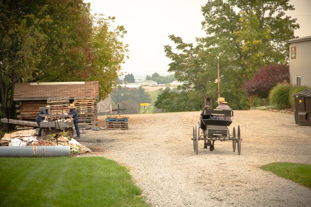 Photo From Meet the Amish Makers: Mt Eaton Collection - Dutchcrafters 2