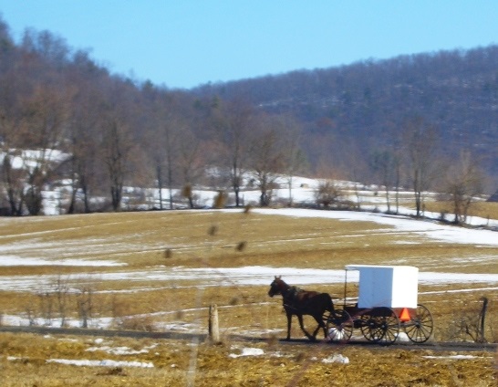 Where Do Amish People Live?