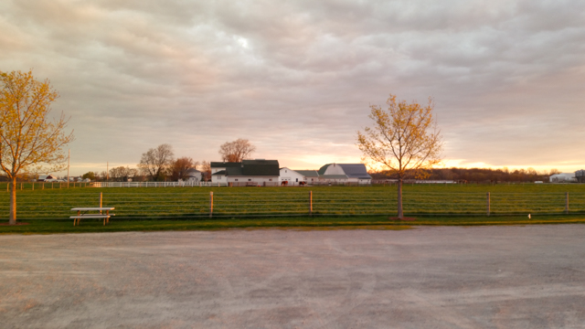 Stories from Amish Country: Spring 2015