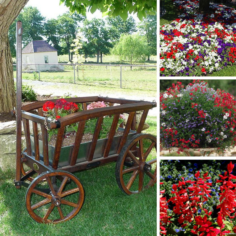 America the Beautiful: The Fourth of July Garden Planter by DutchCrafters