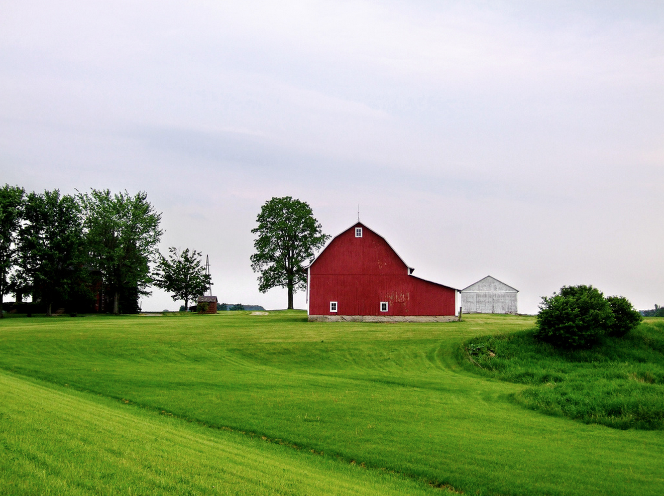 Amish Families: The Home