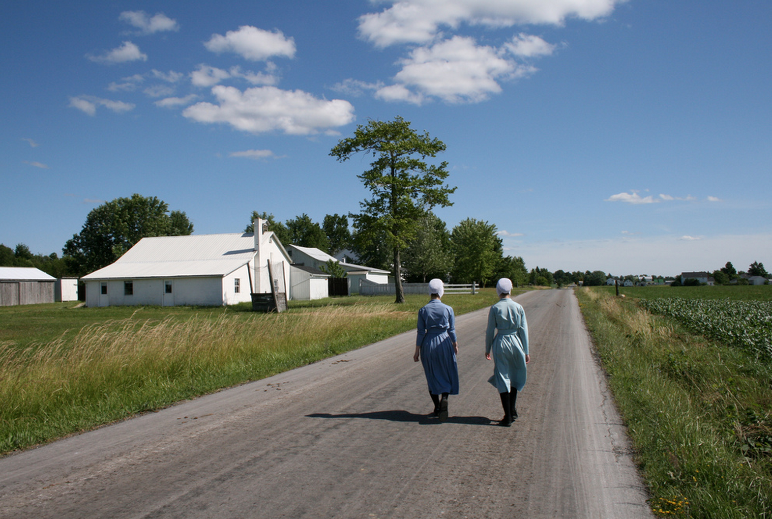 Everything You Want to Know About: Amish Transportation: Foot Power