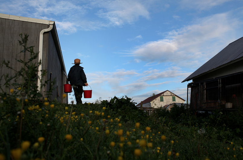 Everything You Want to Know About: Types of Amish: Examples of Different Groups