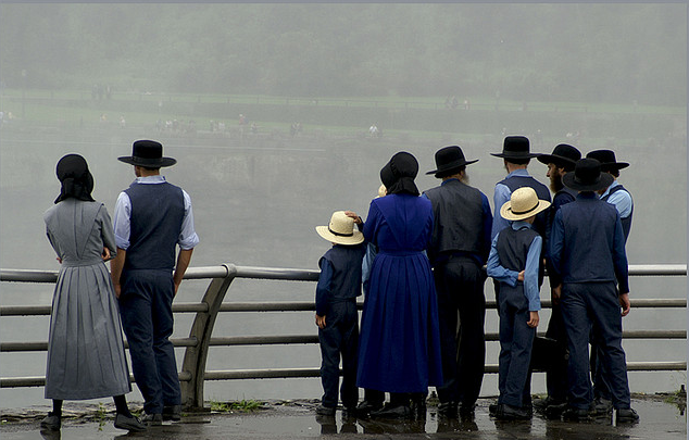 Everything You Want to Know About: Types of Amish: Implications of Diversity 