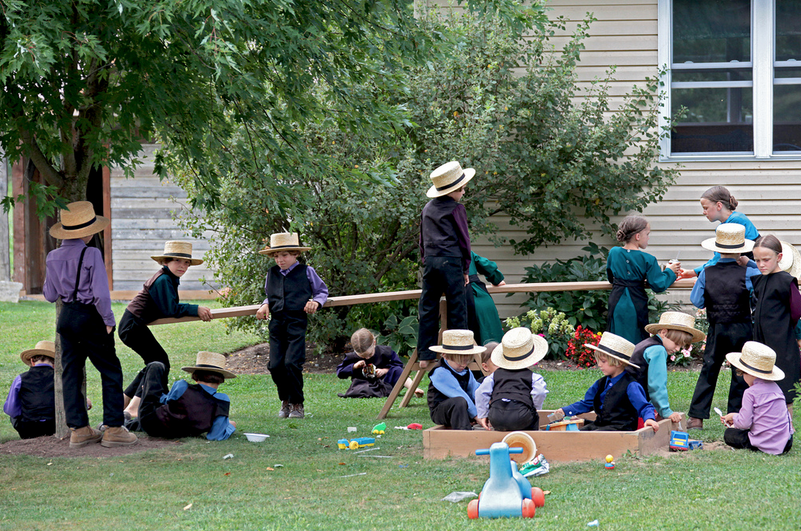 Everything You Want to Know About: Types of Amish