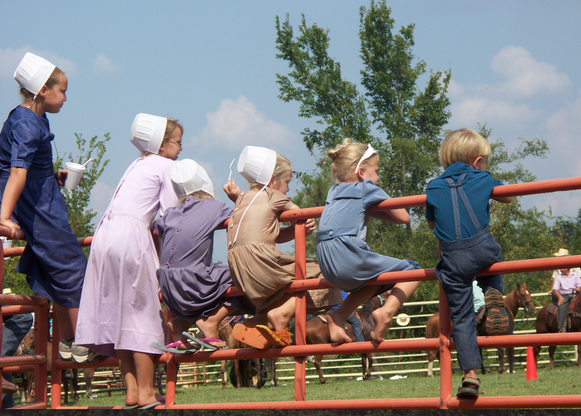 Everything You Want to Know About: Amish Children