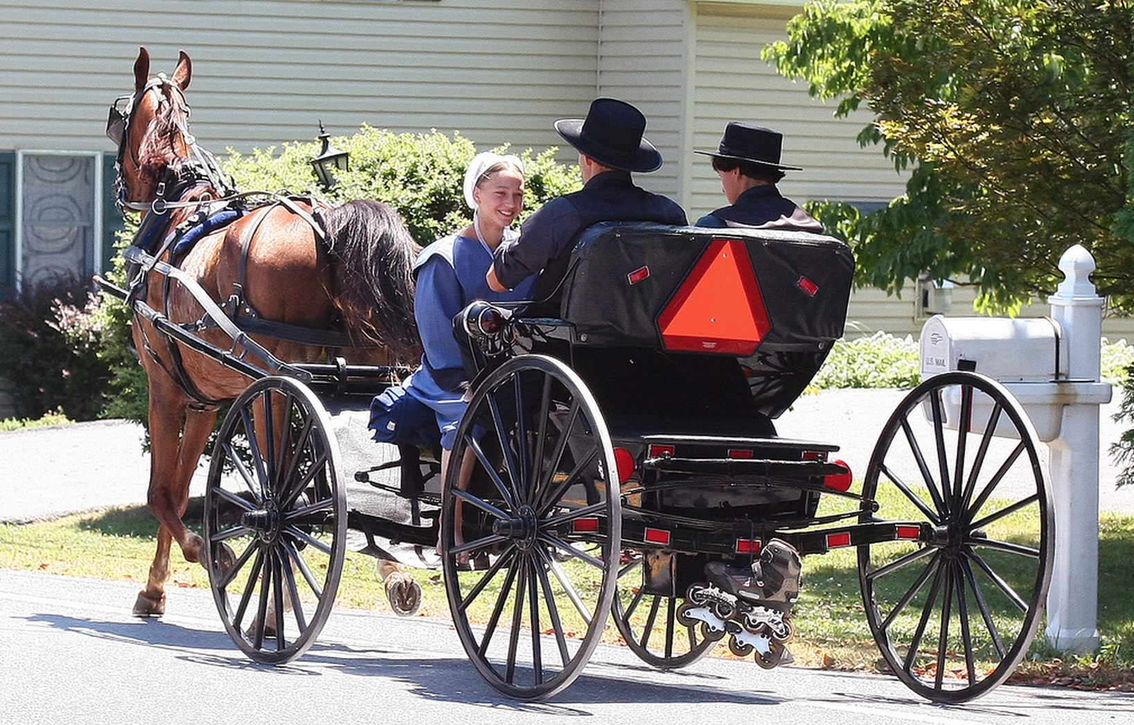 Everything You Want to Know About: Amish Children