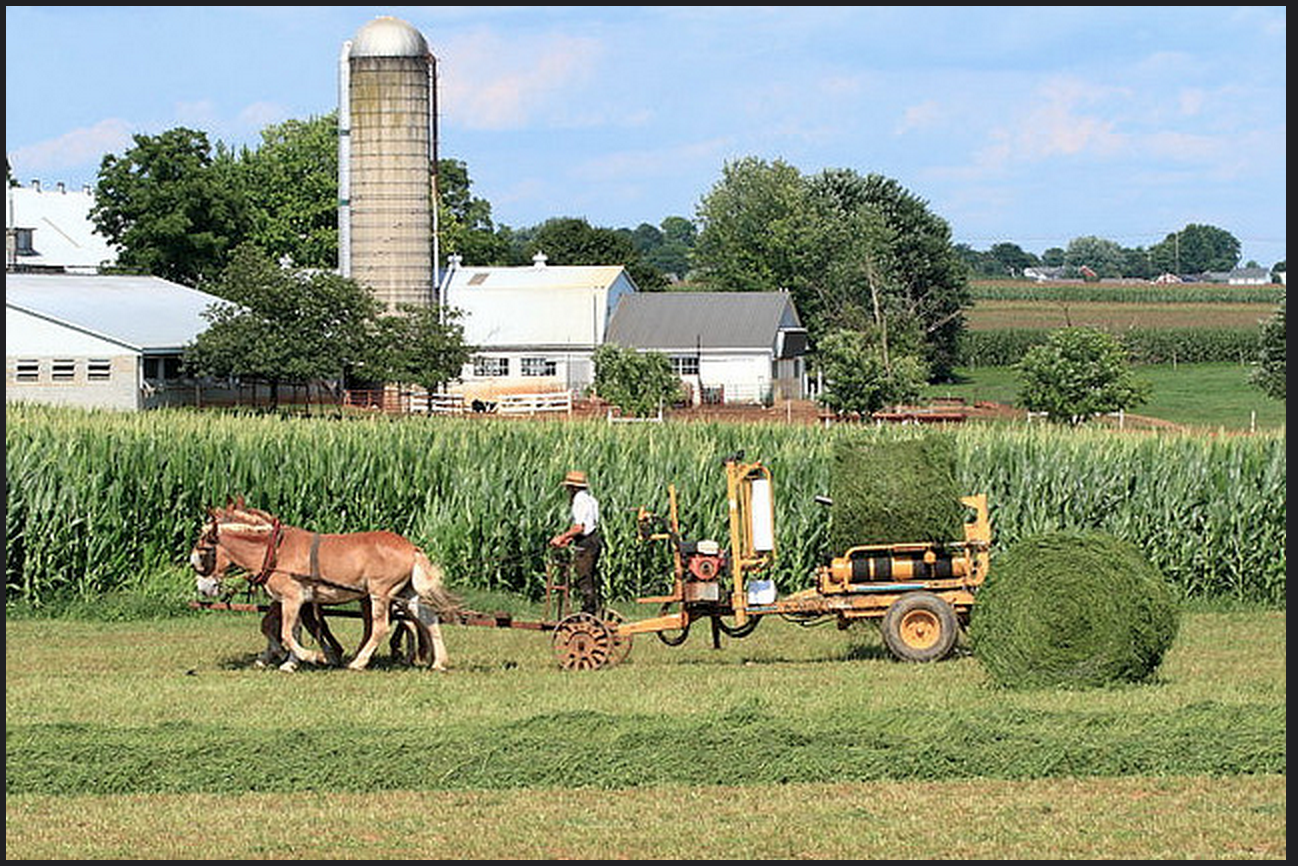 Everything You Want to Know About: Amish Businesses