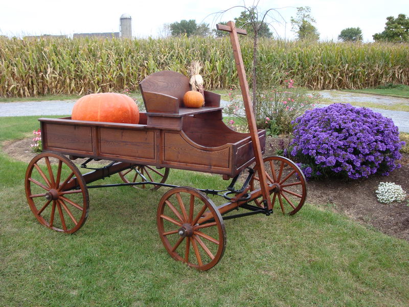 Amish-Old-Fashioned-Buckboard-Wagon-Jumbo--90