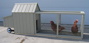 Amish Wood Corn Row Urban Chicken Coop