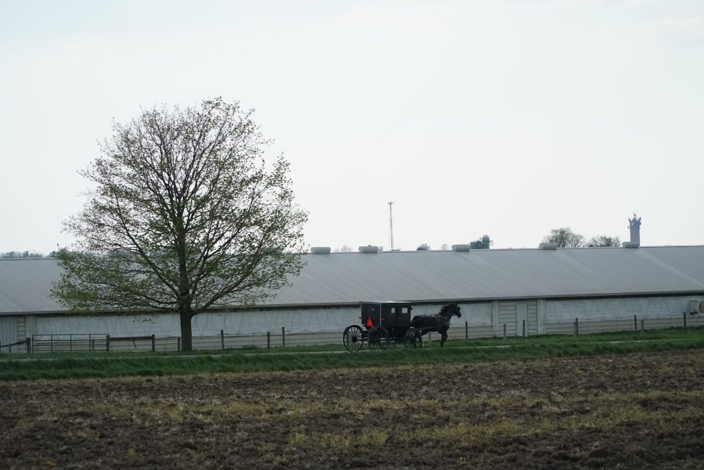 Amish Country, Indiana