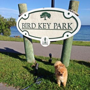 Bird Key Park in Sarasota, Florida is pet friendly.