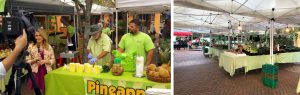 KInsey's Produce is a popular spot at Sarasota's Farmer's Market.