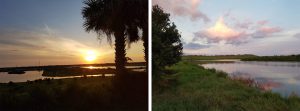 The Celery Fields in Sarasota, Florida