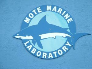 Mote Marine Laboratory in Sarasota, Florida