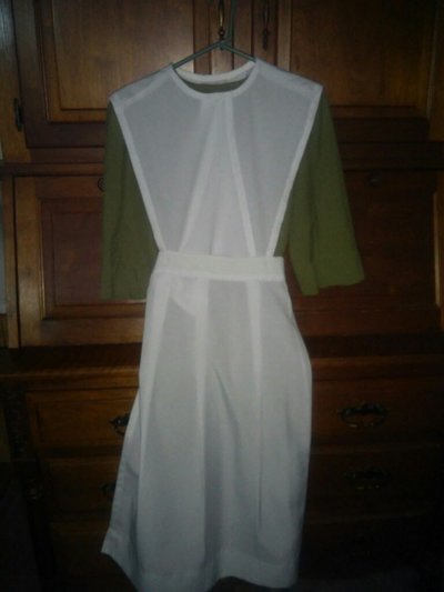 An Amish Wedding Dress