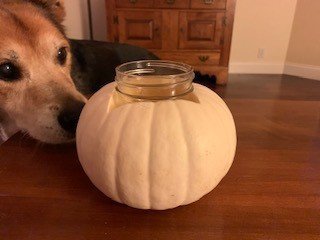 DIY pumpkin and flowers centerpiece