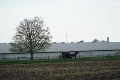 A scene from Amish country