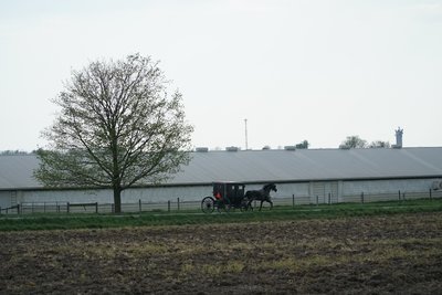 Amish country