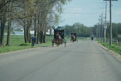 Horse and buggy in Amish country