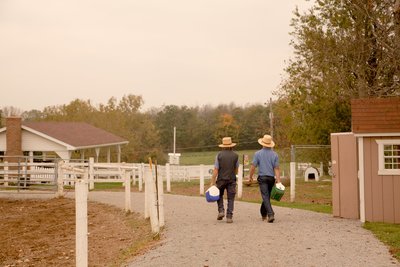 Amish country