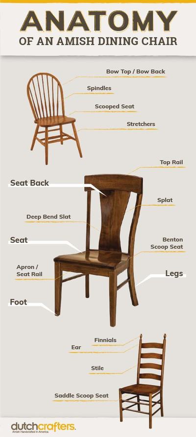 Anatomy Chair Infographic