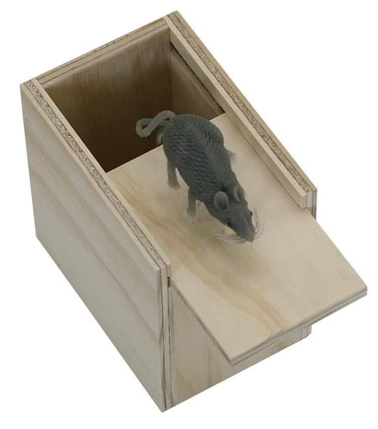 Amish Mouse Box Surprise Toy