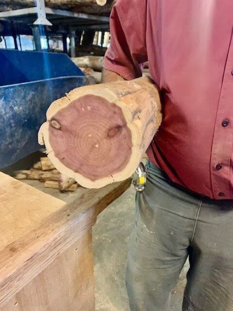 Woodworker with log