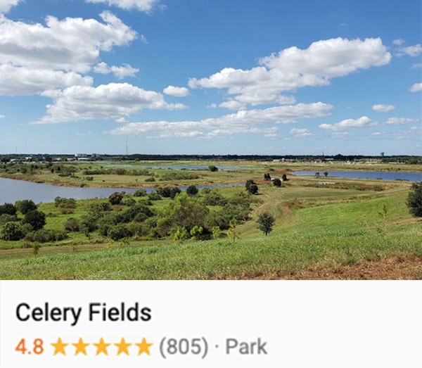 View of water, trees, and clear skies at a section of the Celery Fields