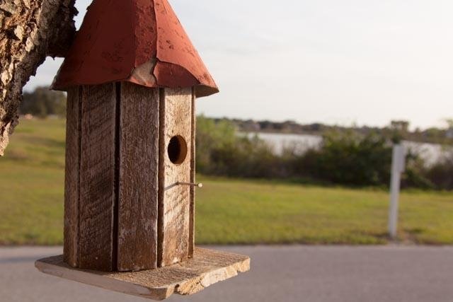 wren bird house