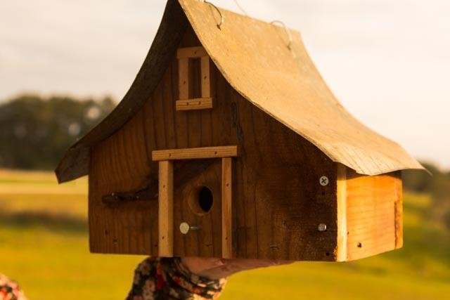 garden bird house