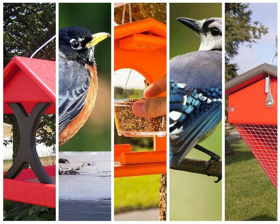 Amish bird feeders