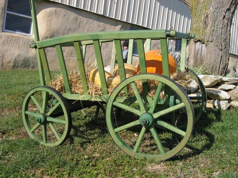 amish wagon