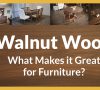 Cedar Wood Characteristics: Should You Buy Cedar Furniture?