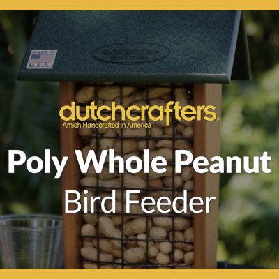 Poly Whole Peanut Bird Feeder over an image of a bird feeder