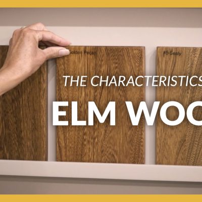 The Characteristics of Elm Wood title appears over an image of a woman picking up an Elm wood sample