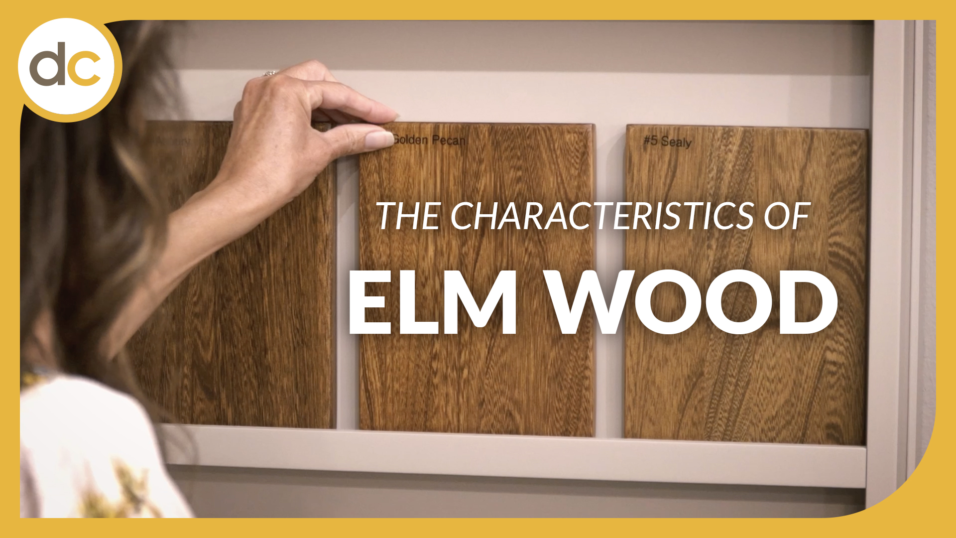 The Characteristics of Elm Wood title appears over an image of a woman picking up an Elm wood sample